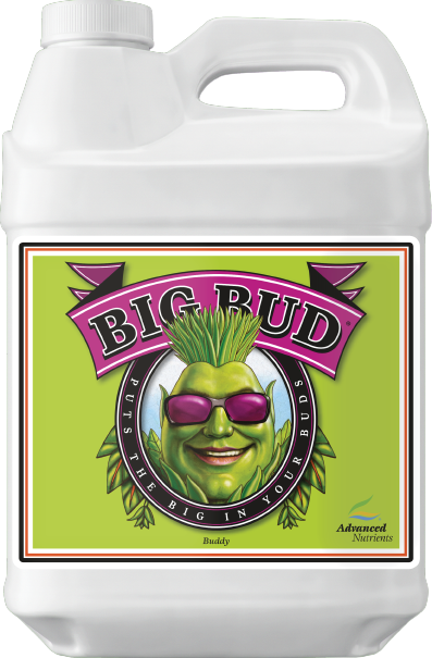 Advanced Nutrients Big Bud 10L
