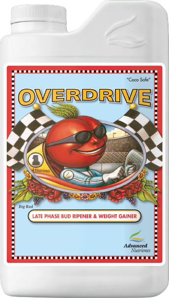 Overdrive 1L