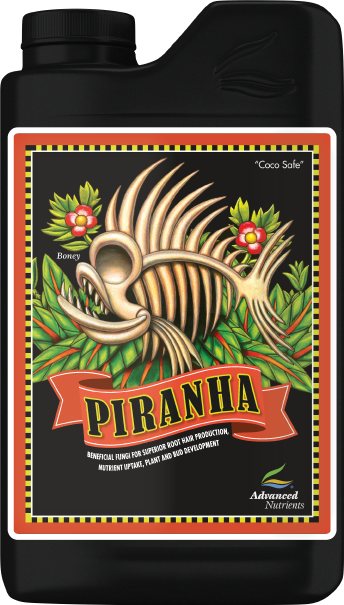Piranha 1L