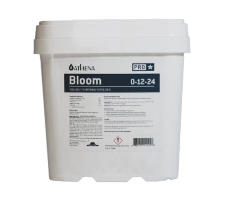 Athena Pro Bloom