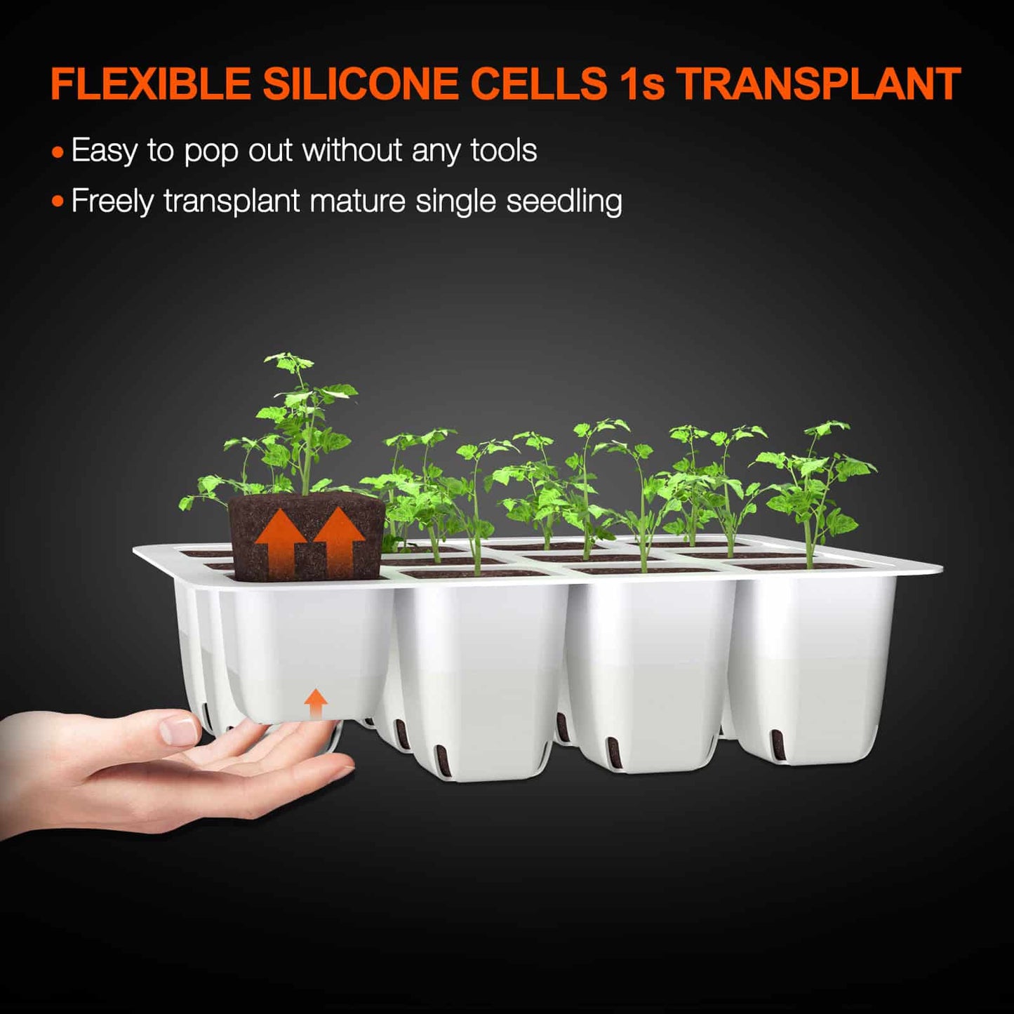 4-Pack Seed Starter Trays with Dome – Germination Kit for Seedlings, Herbs, Vegetables, and Mushrooms