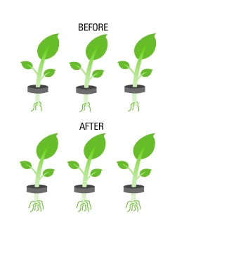 EZ-Clone Rooting Compound 8floz