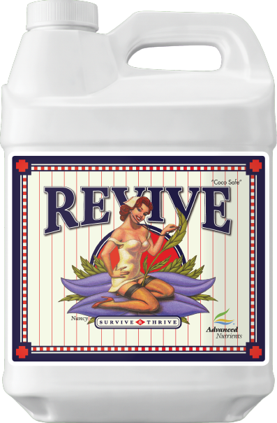 Revive 250mL