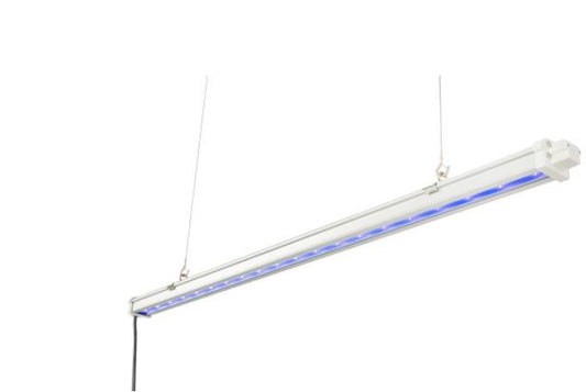 Gavita UVR LED 120-240V- Advanced Lighting for Enhanced Plant Growth