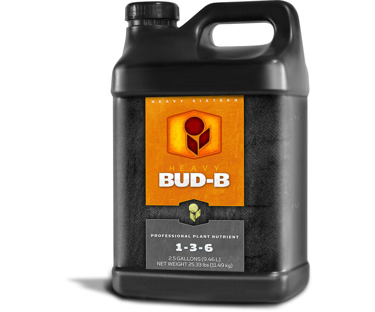 HEAVY 16 Bud B, 2.5 gal