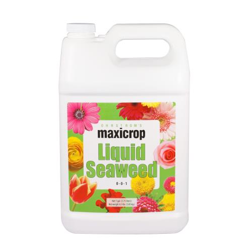 Maxicrop Original Liquid Seaweed Gallon