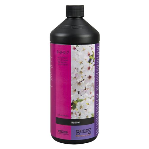 BCuzz Bloom Quart